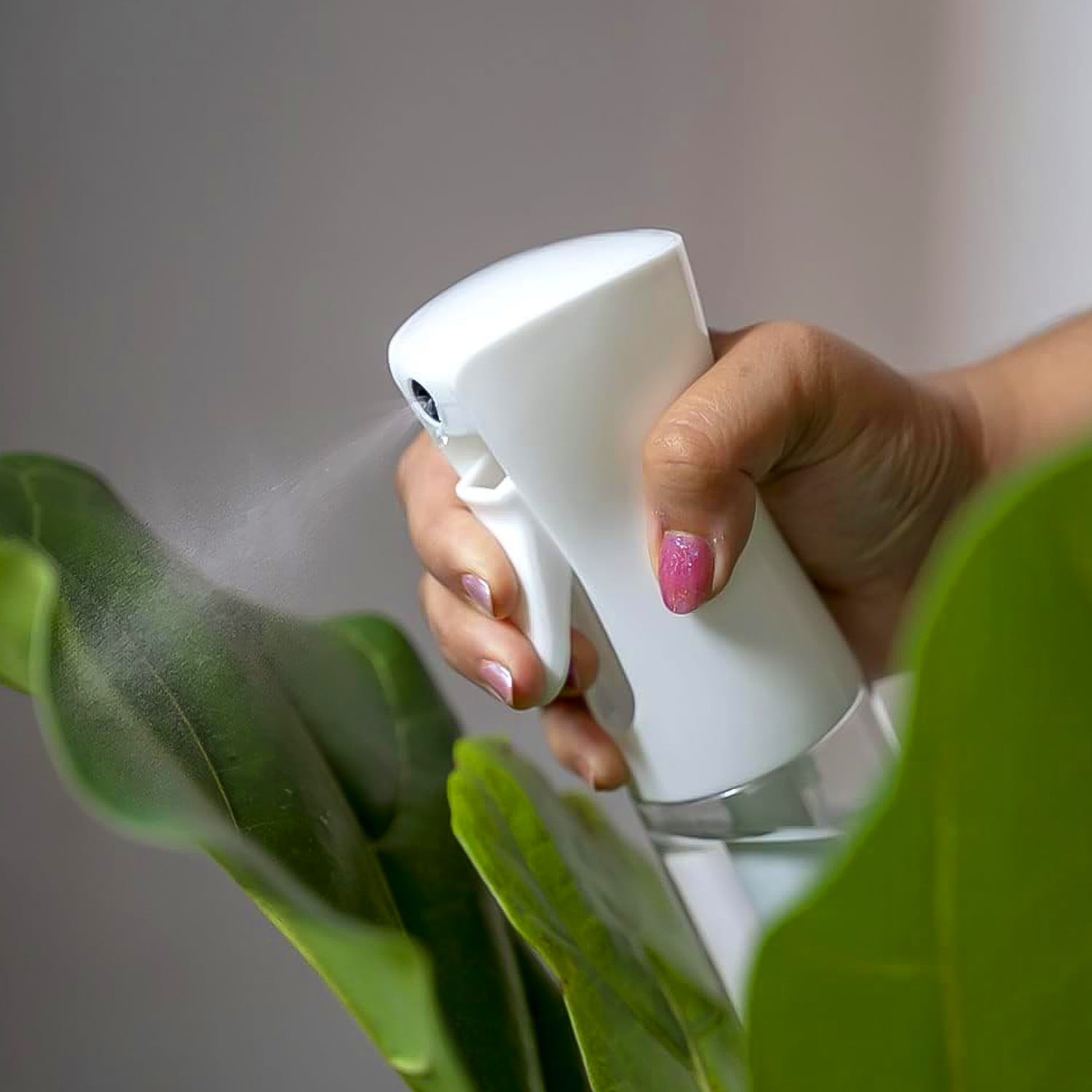 Plastic Oil Spray Bottle - Versatile Kitchen Gadgets (250 Ml Approx  With White Box) Plastic Oil Spray Bottle - Versatile Kitchen Gadgets (250 Ml Approx  With White Box)